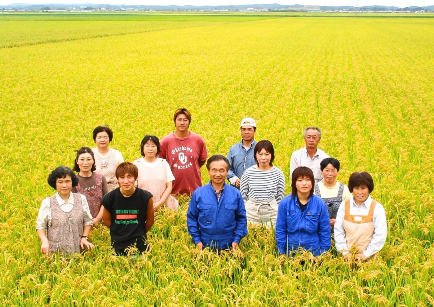 黄金色に実った田んぼの中に並んで立つ、イーストファームみやぎの皆さん